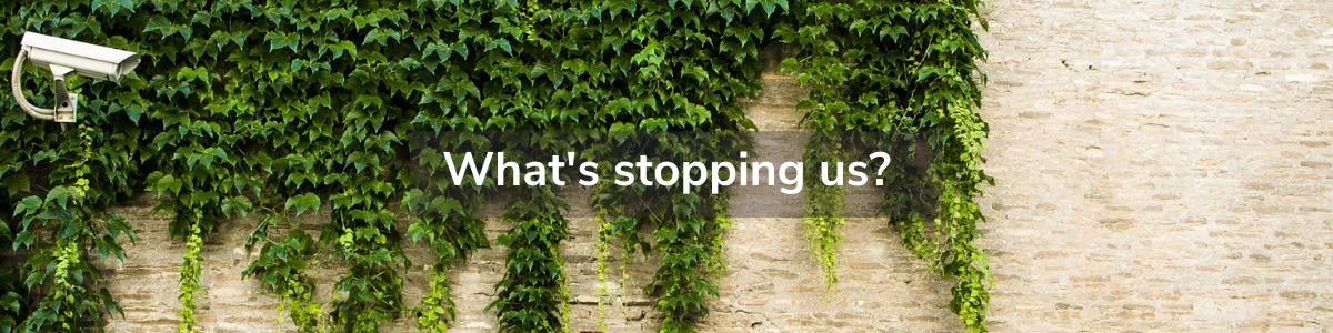 A light brick wall covered partially by ivy, a CCTV camera in the top right corner poking out from the ivy. The words 