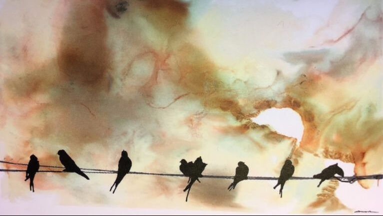 an electricity line with eight birds sitting on it
